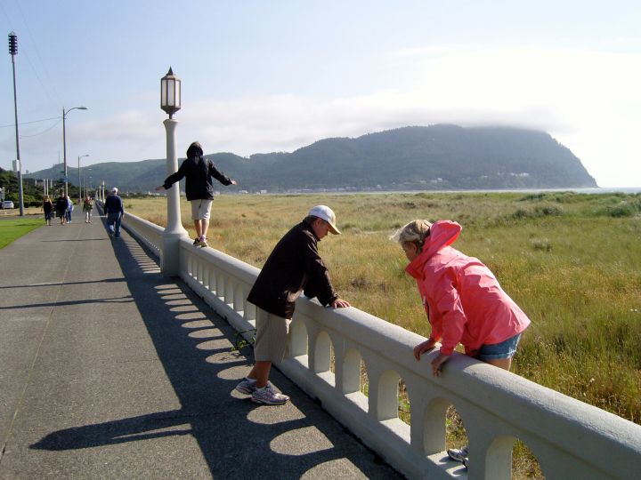 SAMSUNG DIGITAL CAMERA