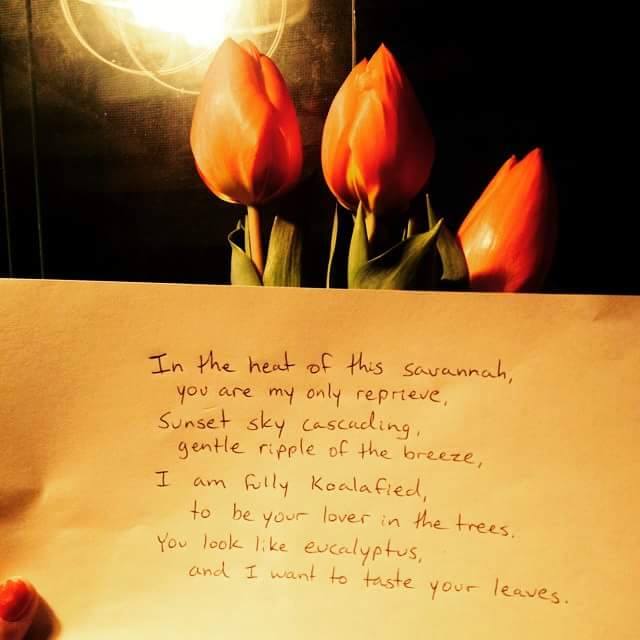 Make Love Poems photo